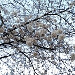 立呑み晩杯屋  - でもいいね～