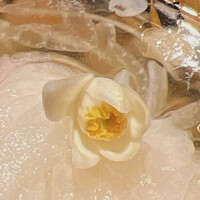 西麻布野口 - 一～二週間しか咲かない柚子の花