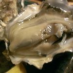 酒徒庵 - またまたぷりっぷりな牡蠣、真夏にこんな素晴らしい牡蠣に出会えるなんて、長生きするもんですね～(´▽｀)