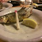 酒徒庵 - 鮎の塩焼きです。この後、中骨抜きイベントが発生しました。(笑)