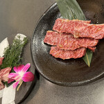 小川亭 とらちゃん - 