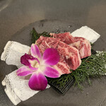 小川亭 とらちゃん - 