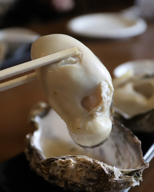 Okonomi Sakaba Hera Hera photo 2