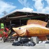 海人の台所 お魚屋