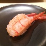 鮨 橋口 - 北海シマエビ