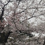 ラ・タベルナ - 