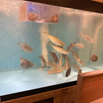 博多海鮮 金木犀 - 