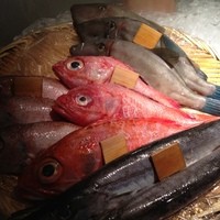八吉 新橋店 - 