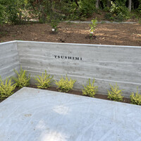 TSUSHIMI - 