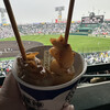 阪神甲子園球場