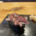 いわ志 - ホタルイカ