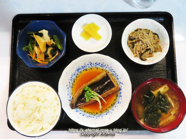 Dining Kitchen Miyako