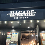 HAGARE - 