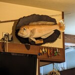 旬魚菜 しら川 - 