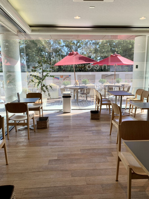 Neo Costa Rica Museum Cafe photo 4