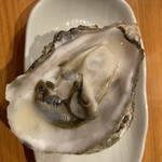 咲か蔵 南一条店 - 