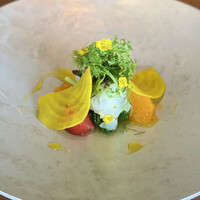 コレドガーナ - 