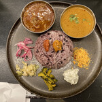 Curry Spice Gelateria KALPASI - 