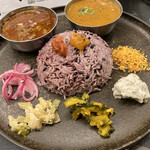 Curry Spice Gelateria KALPASI - 