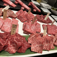 焼肉専科 肉の切り方 日本橋本店 - 強力な本日のスタメン