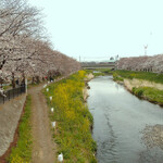 伏竜 - 屋台は出ないのかな？