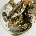 Oyster Bar ジャックポット - 