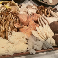 CINA New Modern Chinese - 