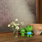 SPICE KITCHEN POPO - 