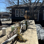 ​冬のRK GARDEN - 