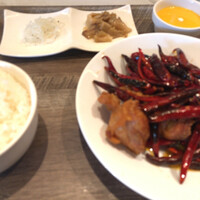 CINA New Modern Chinese - 