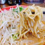 Ganso Mikawa Miso Ra-Men Okazaki Shouten - 麺は太めで美味しい