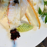 富田屋 - カニコース
      刺身