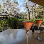 TEIEN Restaurant comodo - 今回は桜の時期のロゼスパーリングワイン付きランチコース4800円.。