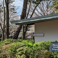 TEIEN Restaurant comodo - 庭園美術館の入口にある明るいレストラン。
