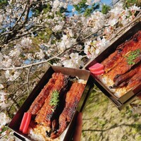 時菜今日萬祇園 - 