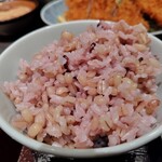 とんかつ濵かつ 博多デイトス店 - 麦ごはん