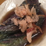 おもいで横丁 - 冷やしナス