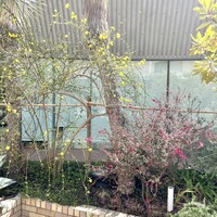 TOOTH TOOTH GARDEN RESTAURANT - 