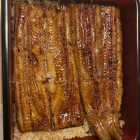 うなぎ川勢 - 