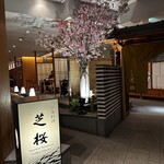 日本料理 芝桜 - 