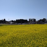 空の駅 風和里しばやま - 