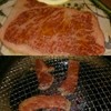 芦苑