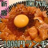 魚介イタリアン&チーズ UMIバル 新宿店