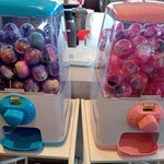 らぁ麺 はやし田 - 