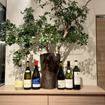 イル アオヤマ - 