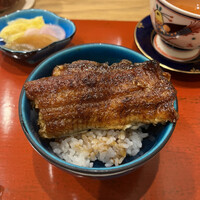 三宅輝 - 浜名湖のウナギ