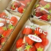 いちごの郷