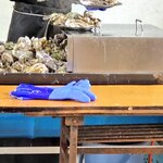 松島 かき小屋 MATSU - 