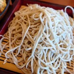 Tenryuu Soba Shoufuuan - 