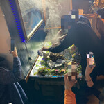 インド・パキスタン料理 アルバラカ - もくもくもくーーー！
                                貴重なシャッターチャンス！
                                オレには見向きもせずにレデー達が群がります。